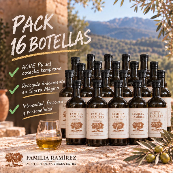 Pack 16 Botellas Edición Hostelería 500 ml