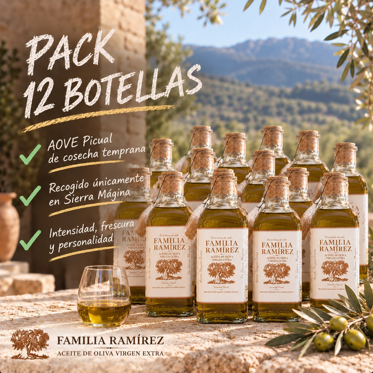 Pack 12 Botellas Edición Hogar 500 ml